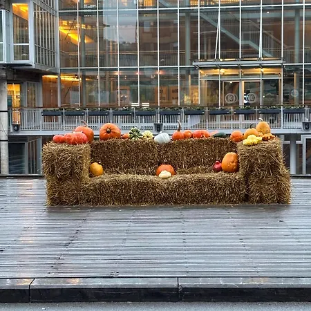 Cosy&zen à Dog-friendly Coxyde